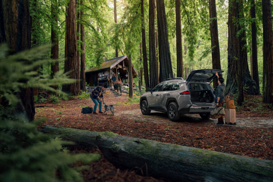 Toyota-RAV4-SixthGeneration-04